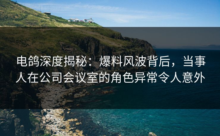 电鸽深度揭秘：爆料风波背后，当事人在公司会议室的角色异常令人意外