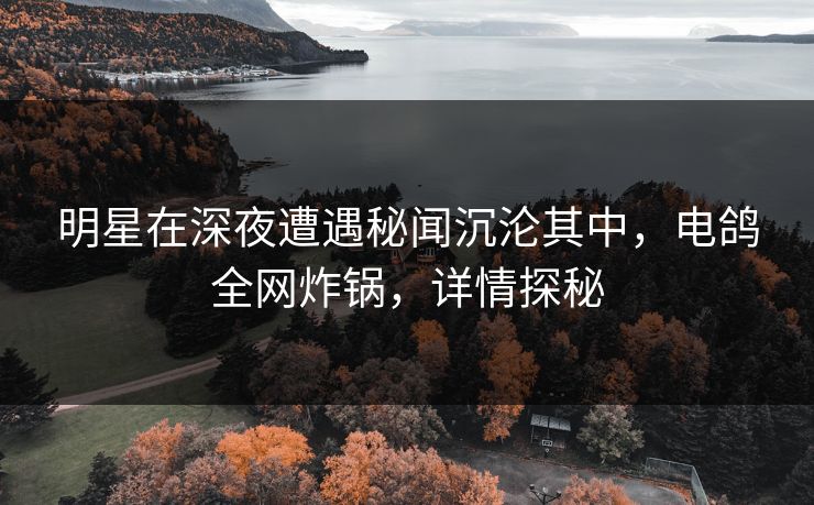 明星在深夜遭遇秘闻沉沦其中，电鸽全网炸锅，详情探秘