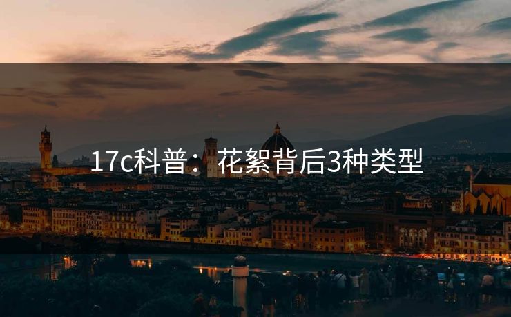 17c科普：花絮背后3种类型