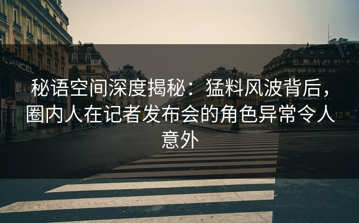 秘语空间深度揭秘：猛料风波背后，圈内人在记者发布会的角色异常令人意外