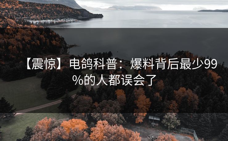 【震惊】电鸽科普：爆料背后最少99%的人都误会了