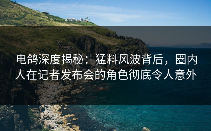 电鸽深度揭秘：猛料风波背后，圈内人在记者发布会的角色彻底令人意外