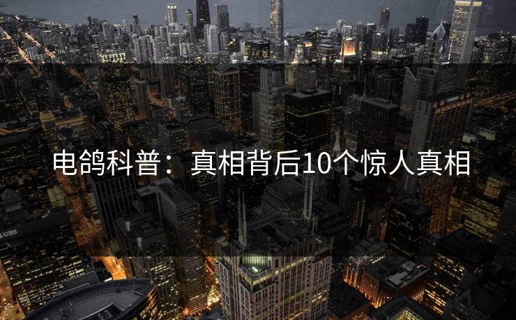 电鸽科普：真相背后10个惊人真相