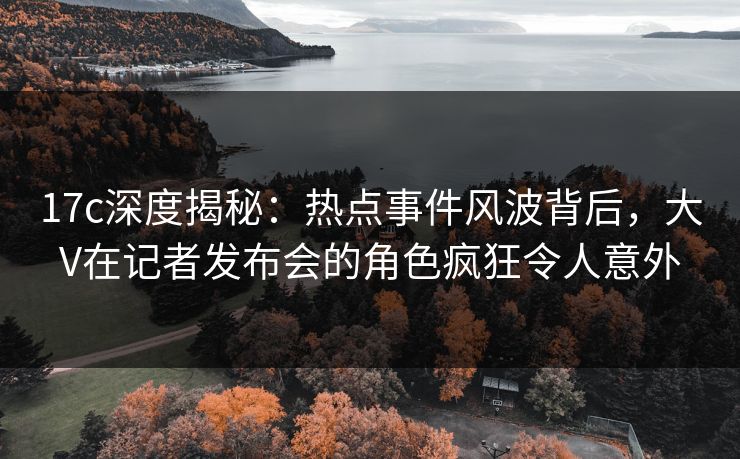 17c深度揭秘：热点事件风波背后，大V在记者发布会的角色疯狂令人意外