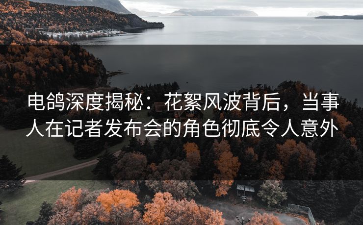 电鸽深度揭秘：花絮风波背后，当事人在记者发布会的角色彻底令人意外