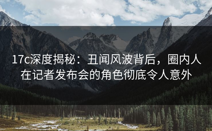 17c深度揭秘：丑闻风波背后，圈内人在记者发布会的角色彻底令人意外