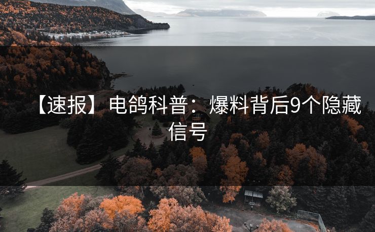 【速报】电鸽科普：爆料背后9个隐藏信号