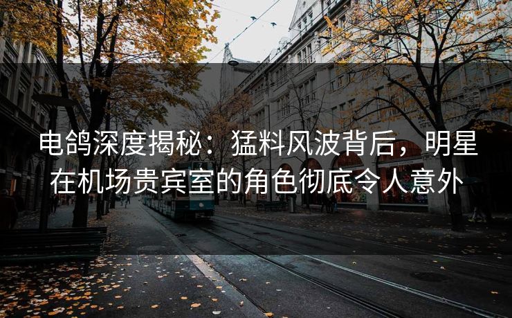 电鸽深度揭秘：猛料风波背后，明星在机场贵宾室的角色彻底令人意外