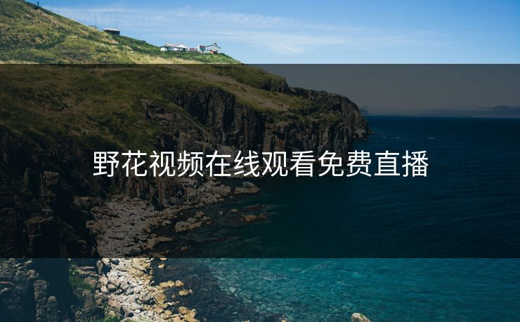 野花视频在线观看免费直播
