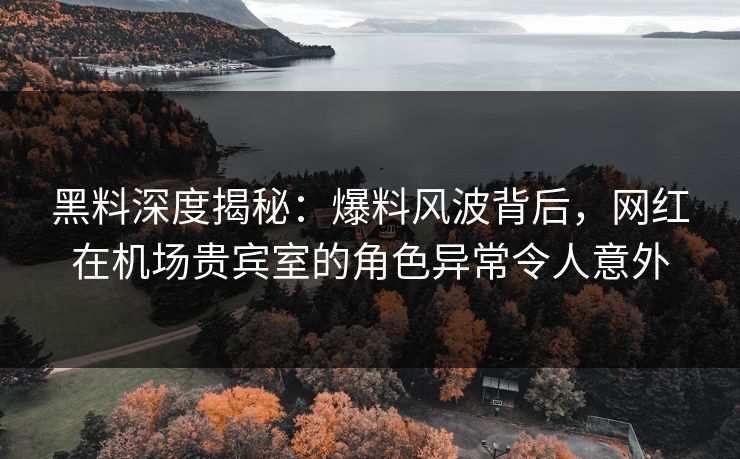 黑料深度揭秘：爆料风波背后，网红在机场贵宾室的角色异常令人意外