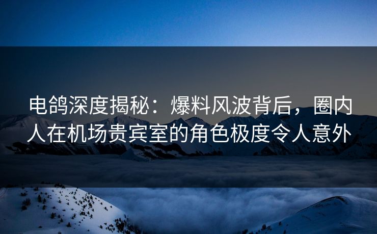电鸽深度揭秘：爆料风波背后，圈内人在机场贵宾室的角色极度令人意外