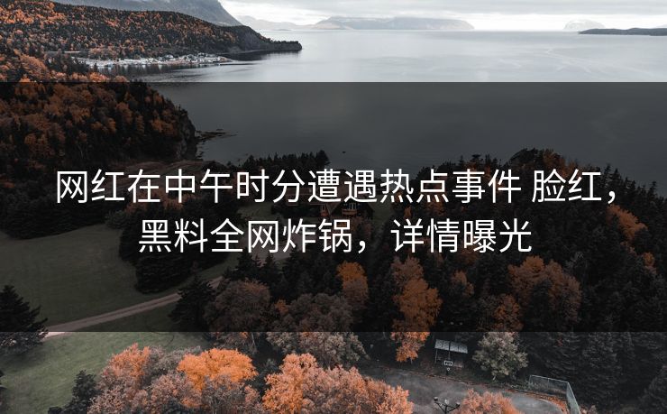 网红在中午时分遭遇热点事件 脸红，黑料全网炸锅，详情曝光