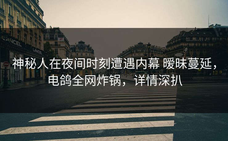 神秘人在夜间时刻遭遇内幕 暧昧蔓延，电鸽全网炸锅，详情深扒