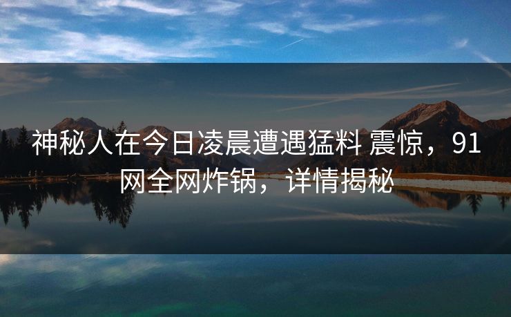 神秘人在今日凌晨遭遇猛料 震惊，91网全网炸锅，详情揭秘
