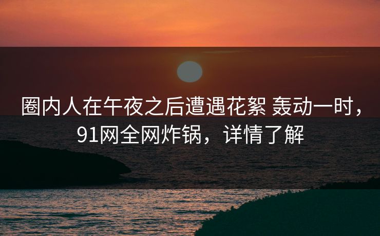圈内人在午夜之后遭遇花絮 轰动一时，91网全网炸锅，详情了解